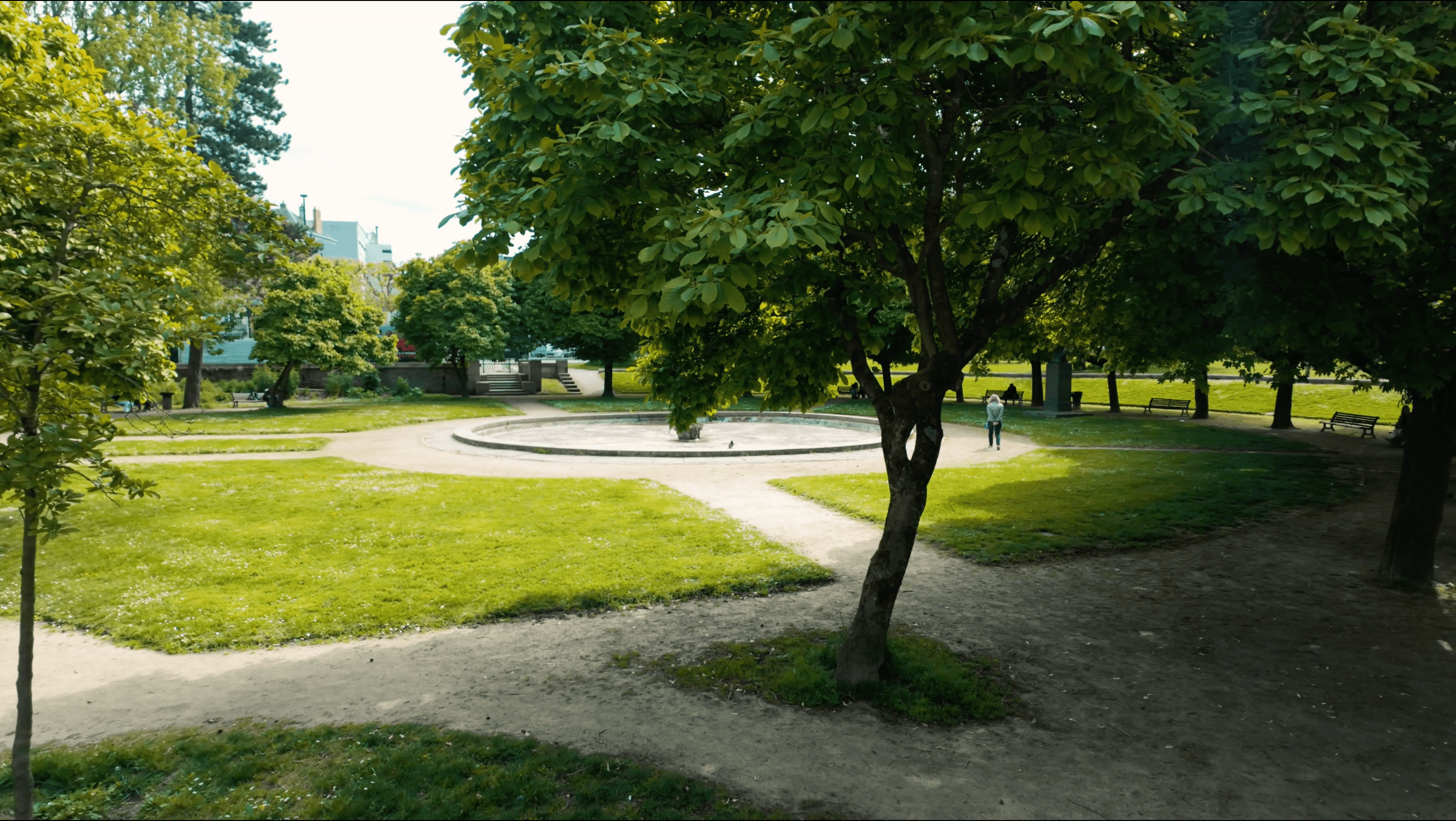 Parc avant traitement colorimétrique — D‑Log M brut