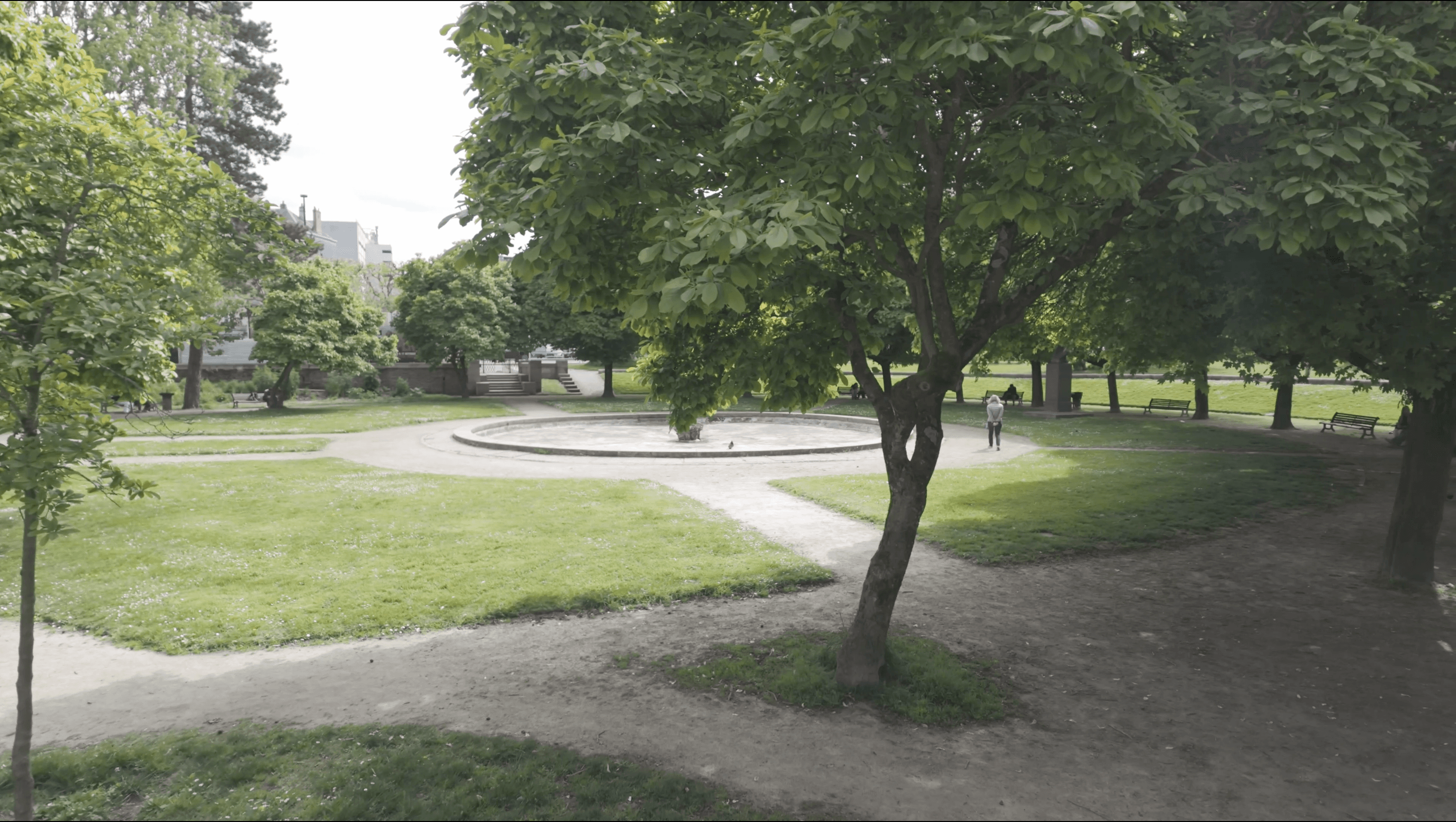 Parc après traitement colorimétrique OSMO GRADE